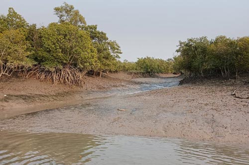 Sundarban Others Trip
