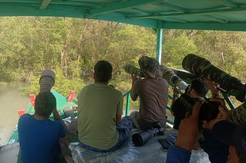 offbeat-sundarban-Wildlife-Photography